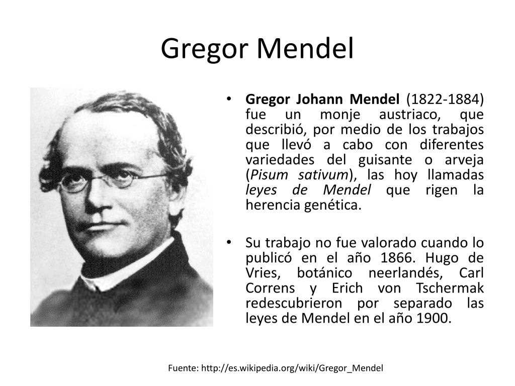 11.1 the work of gregor mendel answers