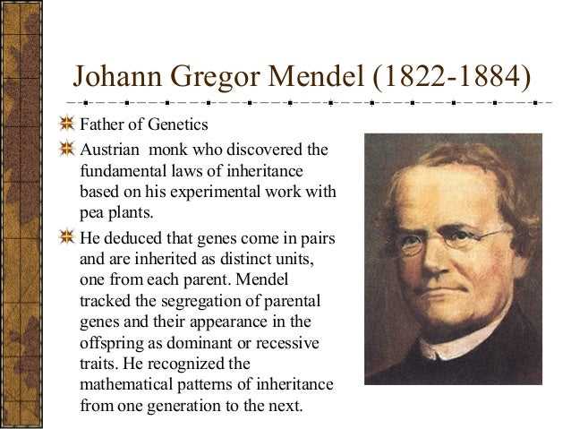 Key Findings from Mendel's Experiments on Pea Plants