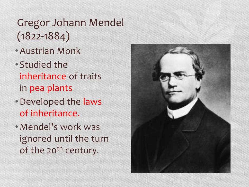 What did Mendel study?