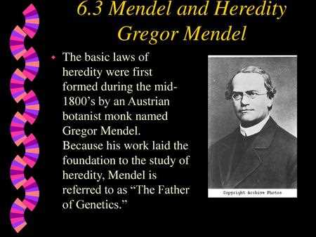 Mendel's Laws of Inheritance