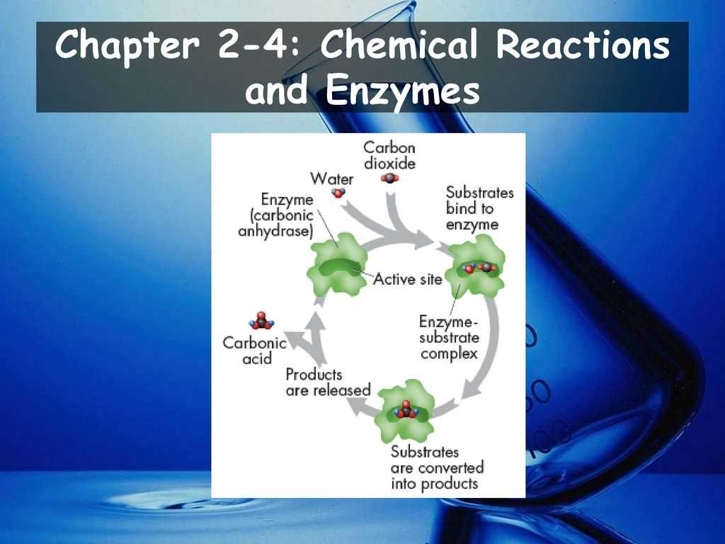 Overall, understanding the different types of chemical reactions is crucial in understanding how substances interact and transform, and it allows scientists to predict the products of a reaction based on its type.