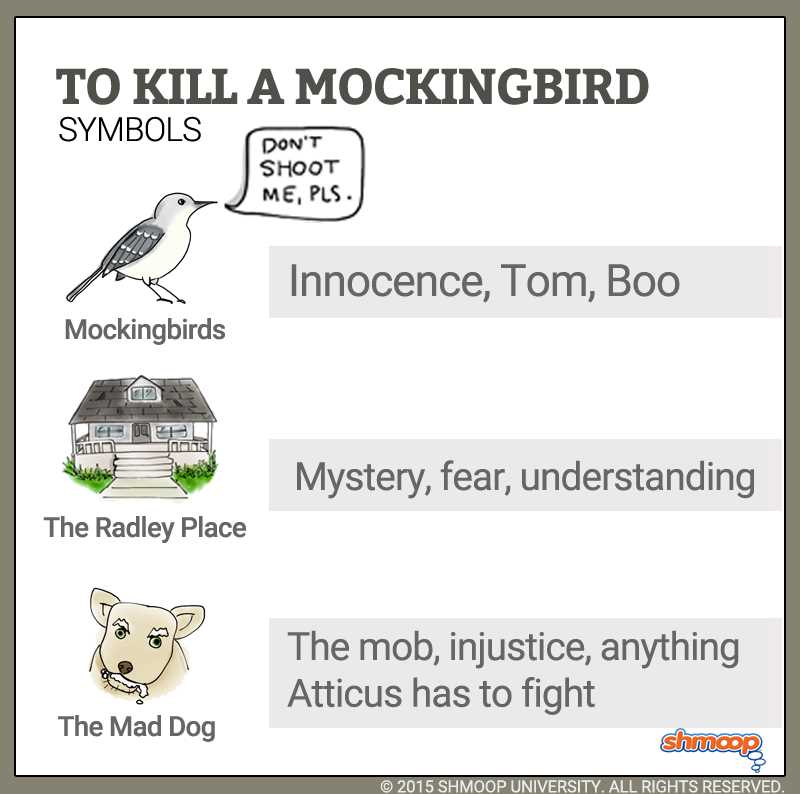  To Kill a Mockingbird: Finding Answers to Key Questions 