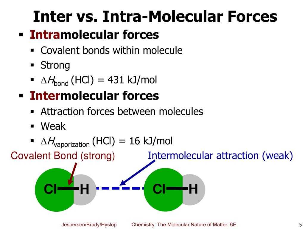 Intermolecular forces worksheet answer key