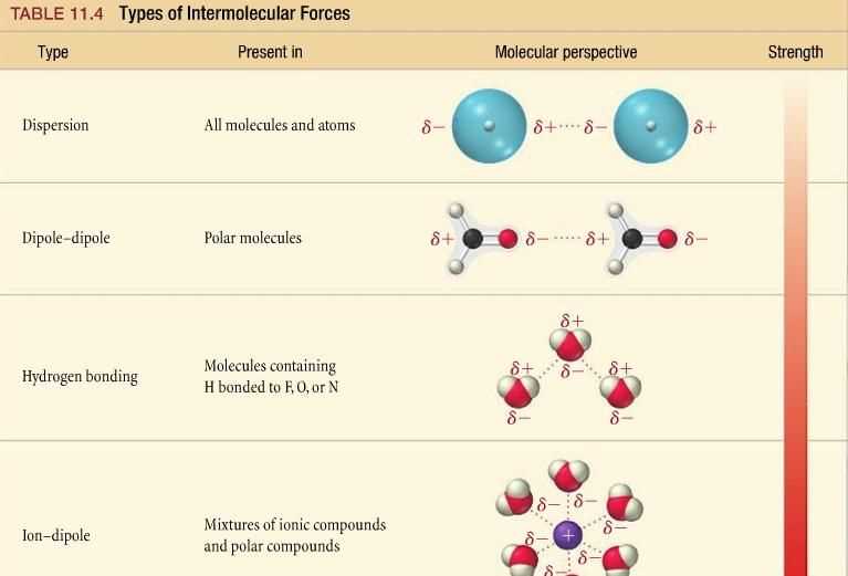 Analysis of Intermolecular Forces Lab Data