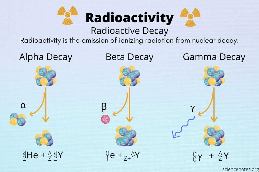 Discussion: Insights into Radioactive Decay Rates and Half-Life