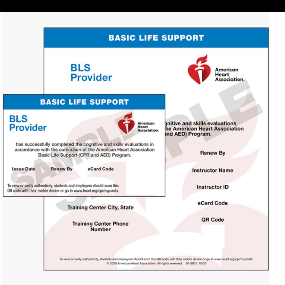 Understanding the AHA BLS for Healthcare Providers Test