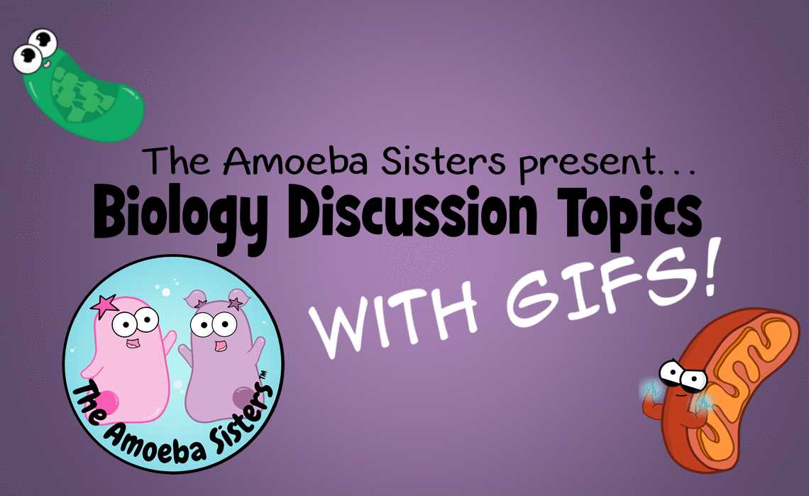 Amoeba sisters biomagnification worksheet answers