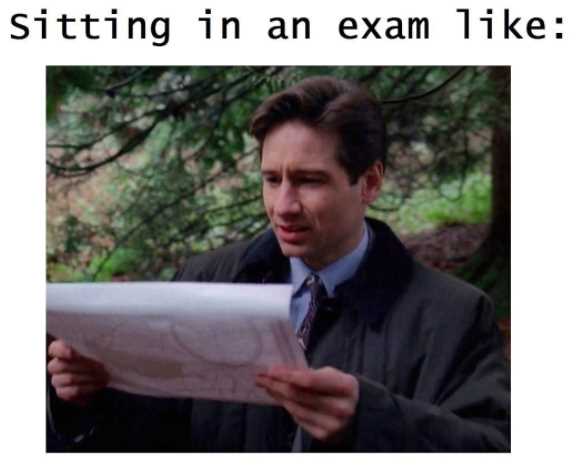 After Exam Meme: The Hilarious Side of Post-Exam Relief