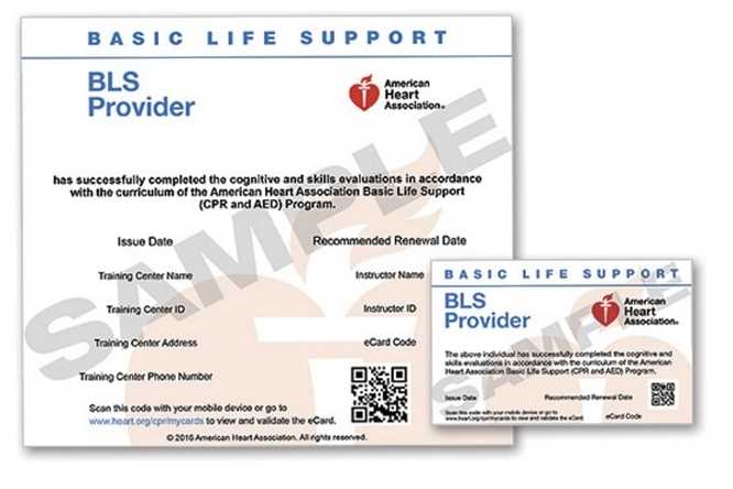 Aha bls for healthcare providers test answer key