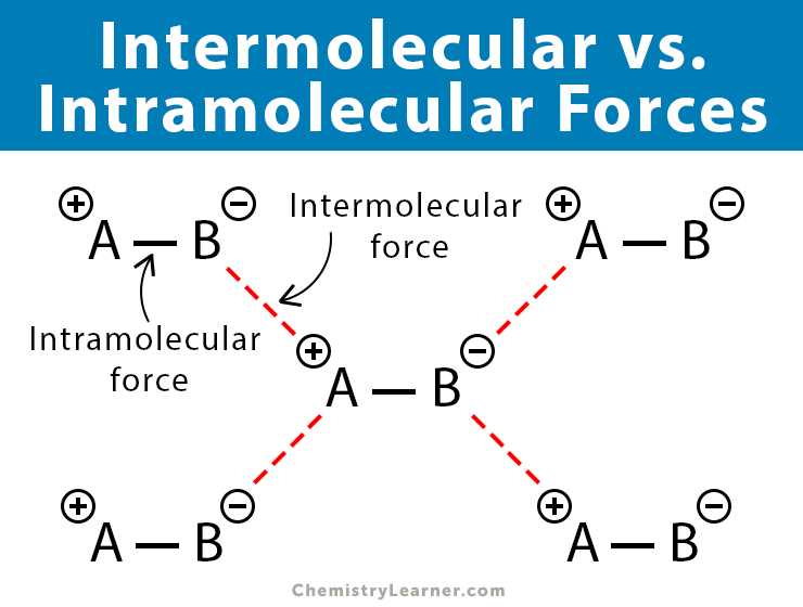 Practical Applications of Intermolecular Forces Knowledge