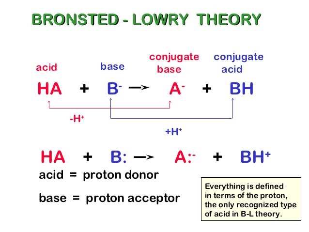 Bronsted Lowry Acids and Bases Worksheet Answers