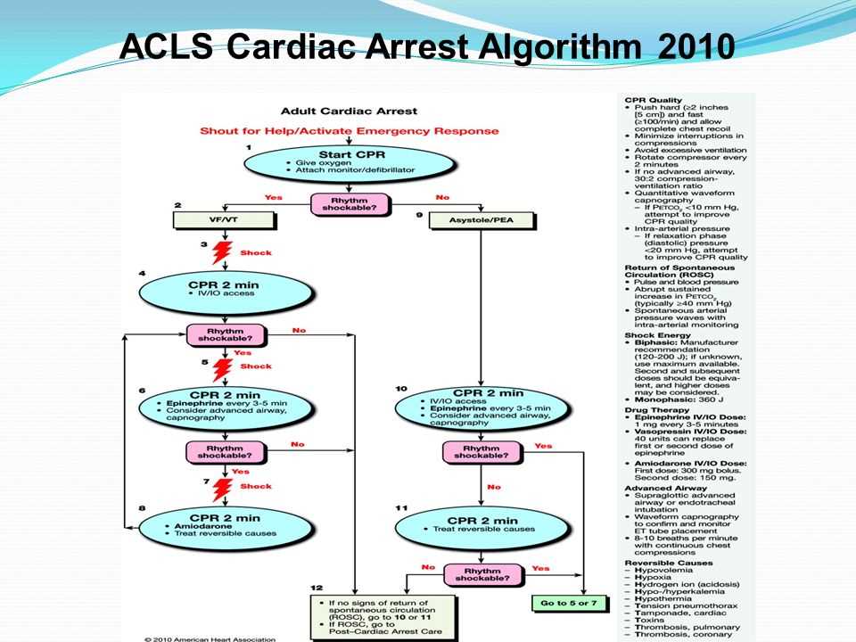 Acls answers 2024