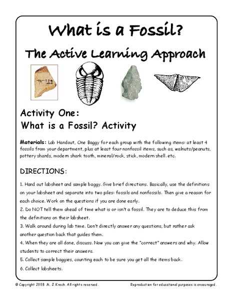 Fossil worksheet the rock record answer key pdf
