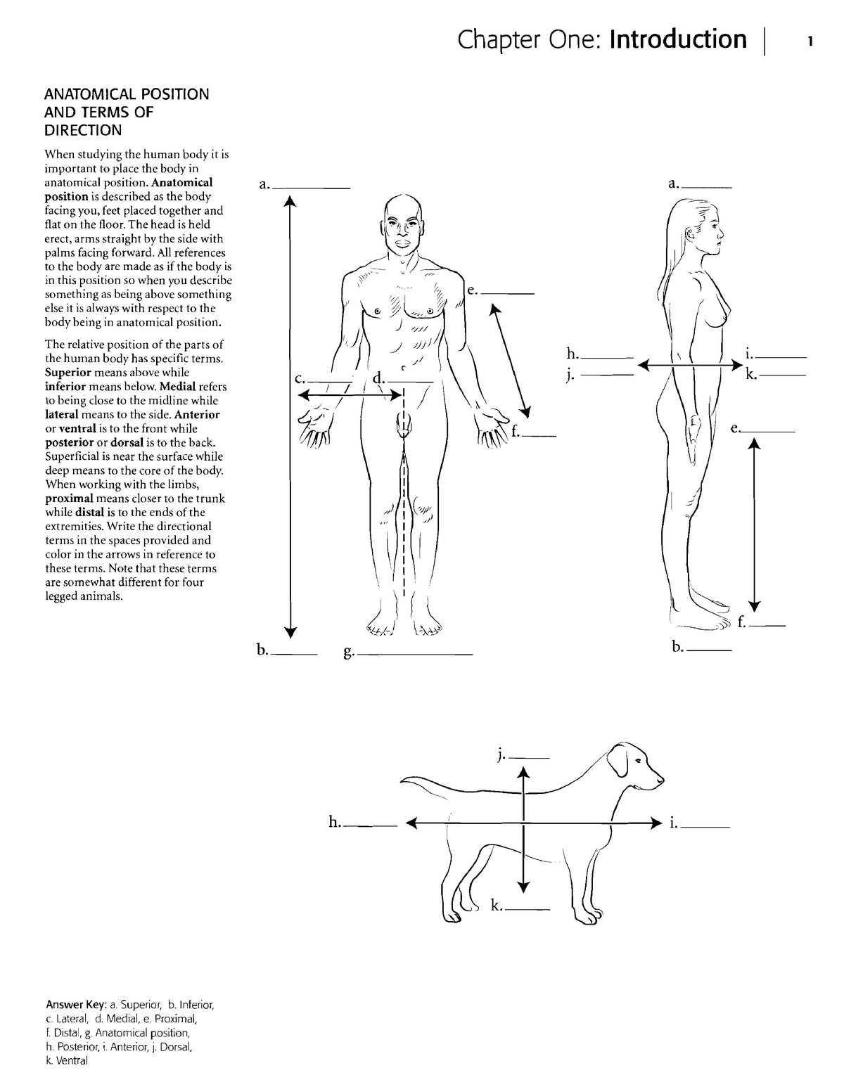 Homeostasis and Body Systems