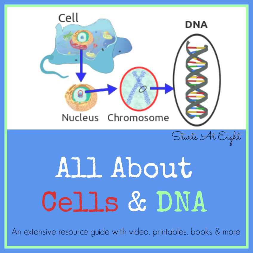 Section 3: Key Features of Interactive Science Cells and Heredity