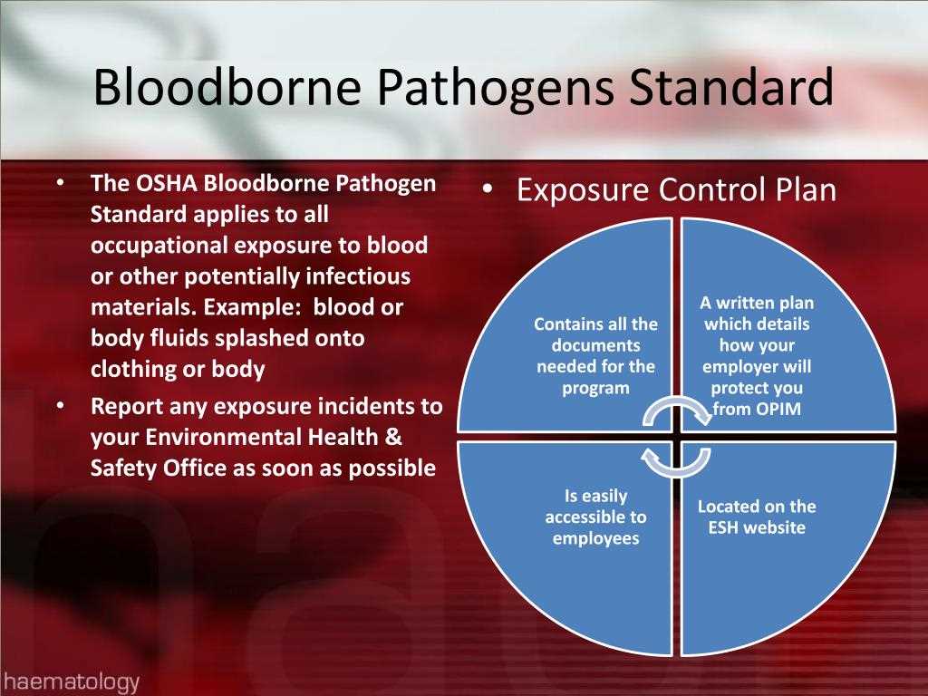  Osha Bloodborne Pathogens Test Study Guide 