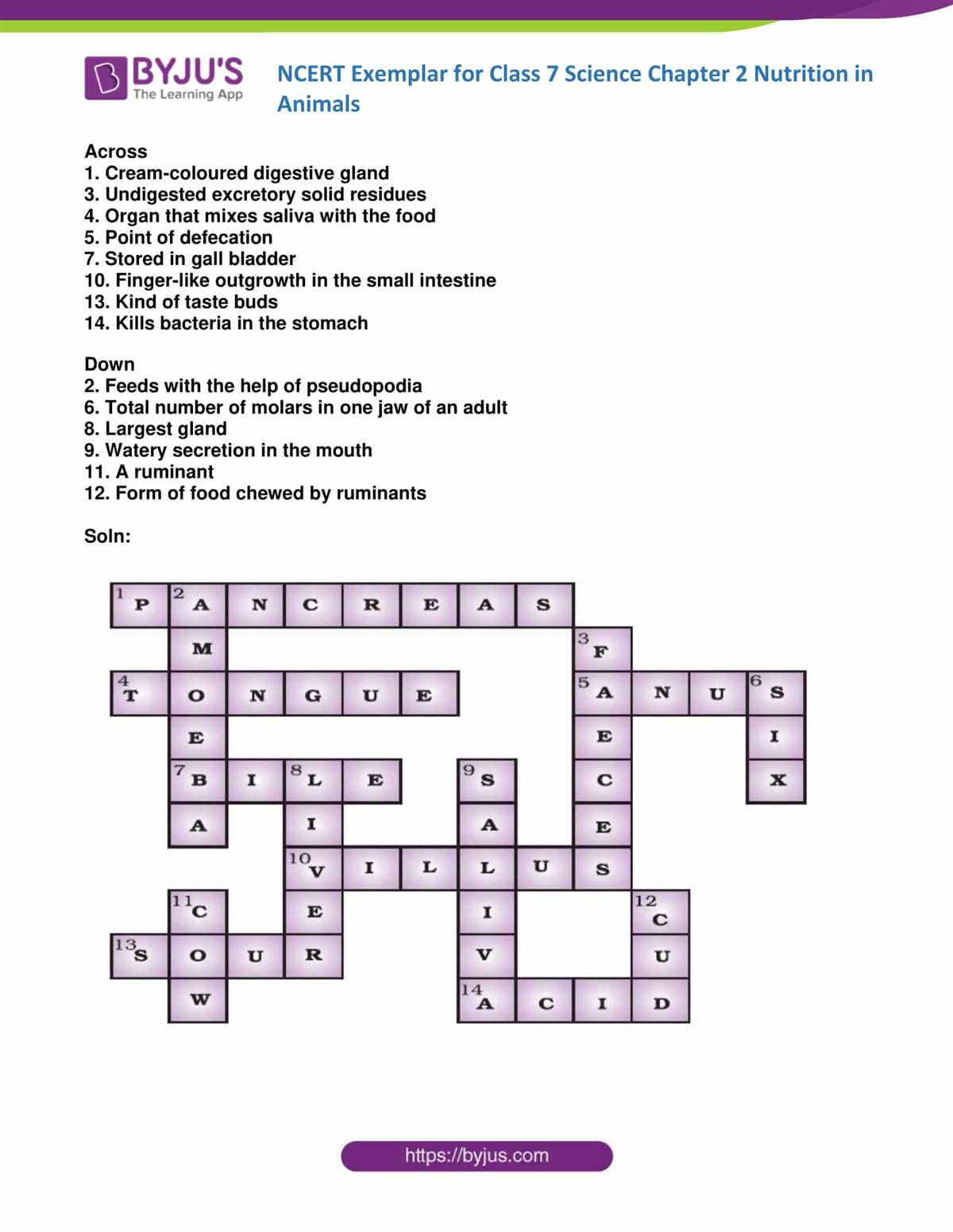 Scientific crossword puzzles with answers