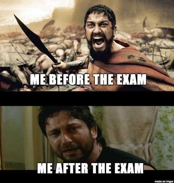 Celebrating After Exams: The Top Memes that Sum Up the Joy