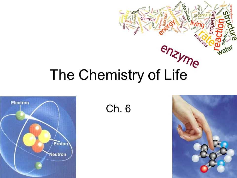 The chemistry of life answer key