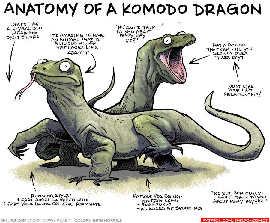 Fascinating Facts about the Komodo Dragon