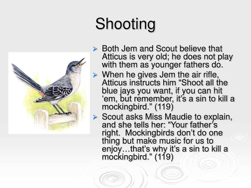 To kill a mockingbird study guide answers key