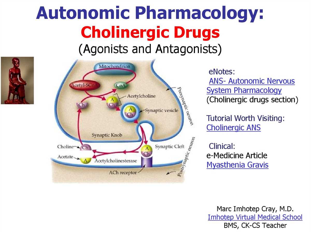 Overview of the Pharmacology HESI Final Exam
