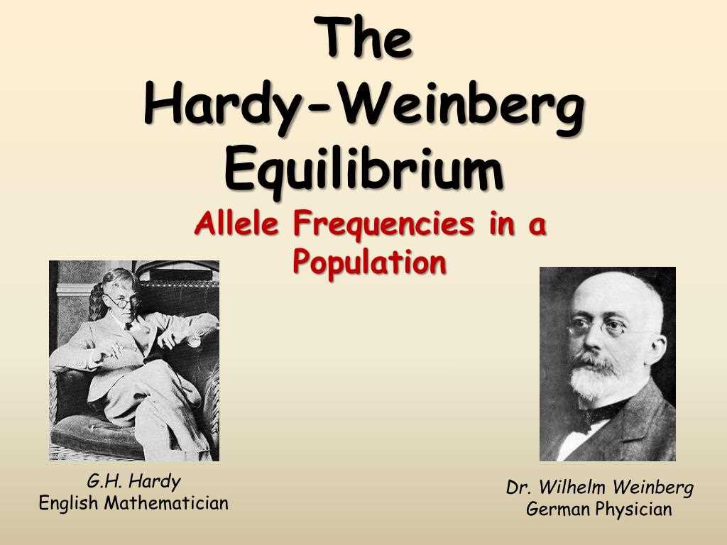 Correct Answer: The Hardy-Weinberg equilibrium serves as a theoretical model for understanding evolutionary processes.