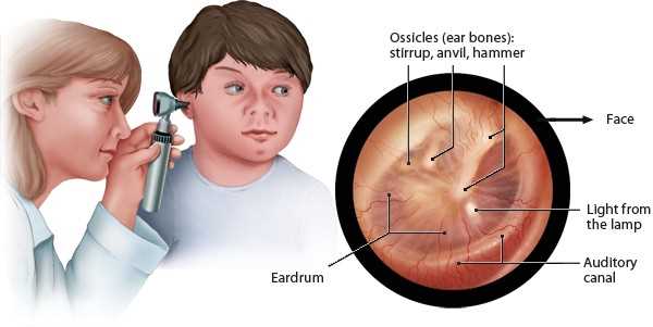 Common Findings and Abnormalities in Ear Exam Documentation